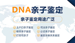 安顺第一人民医院可以做亲子鉴定吗，安顺医院办理亲子鉴定具体流程