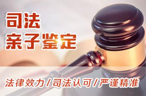 安顺司法DNA鉴定怎么做,安顺司法DNA亲子鉴定大概多少钱