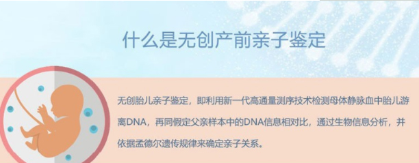 在安顺刚怀孕要如何办理怀孕亲子鉴定,在安顺怀孕几个月做亲子鉴定准确吗