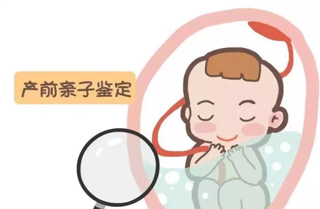 安顺怎么确定孩子的亲生父亲是谁,安顺产前亲子鉴定收费多少钱